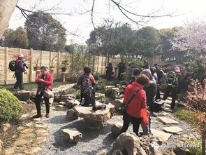 與其在苗木銷(xiāo)售的紅海中掙扎,不如